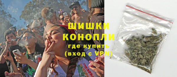 mix Богородицк